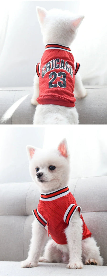 Chicago 23 Pet Jersey