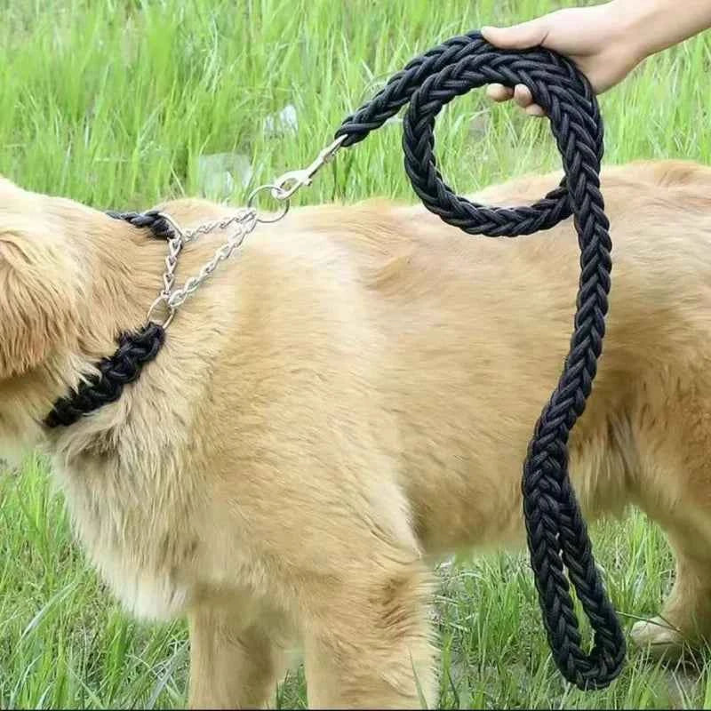 Large Breed Nylon Leash