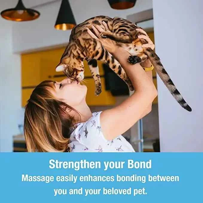 Electric Pet Messager - Keep Your Pets Engaged and Happy