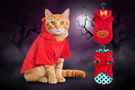 Kitty Halloween Costume