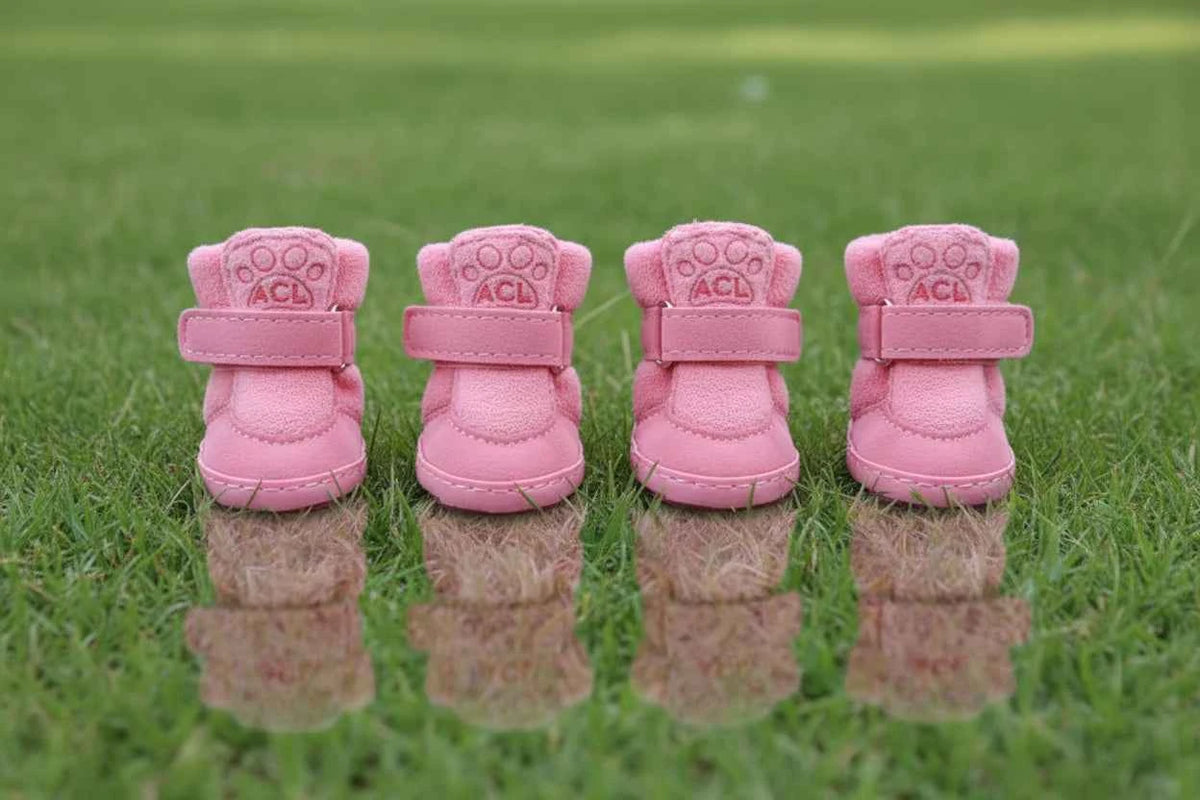 Winter Pet Boots