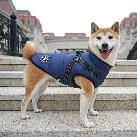 Waterproof Dog Winter Jacket with Harness