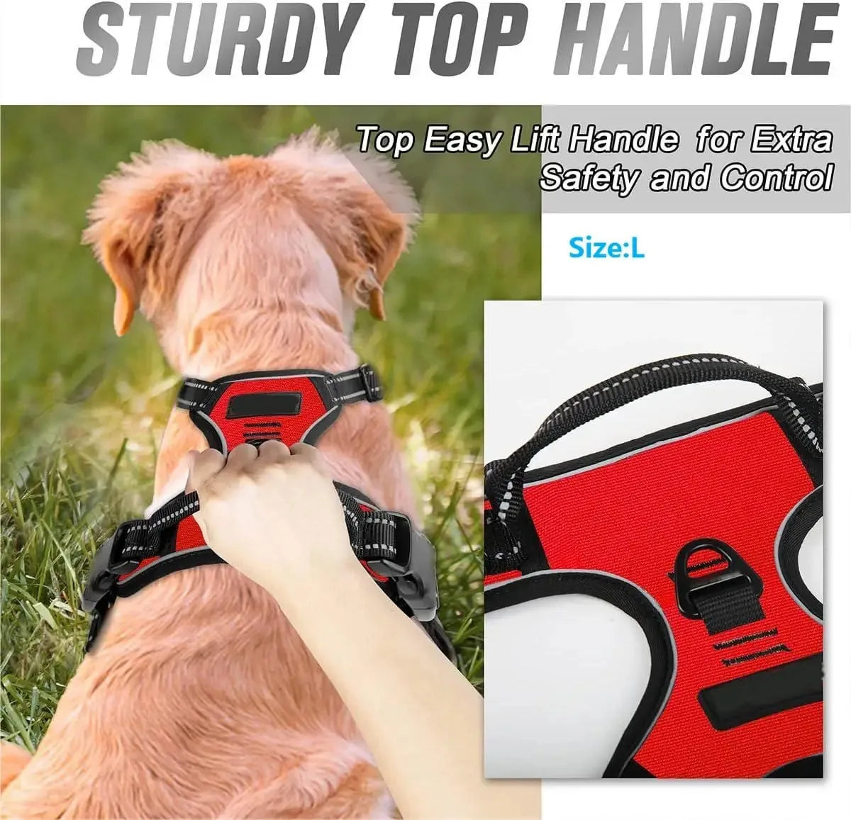 Dog Harness Collar & Leash Set Matching Accessories