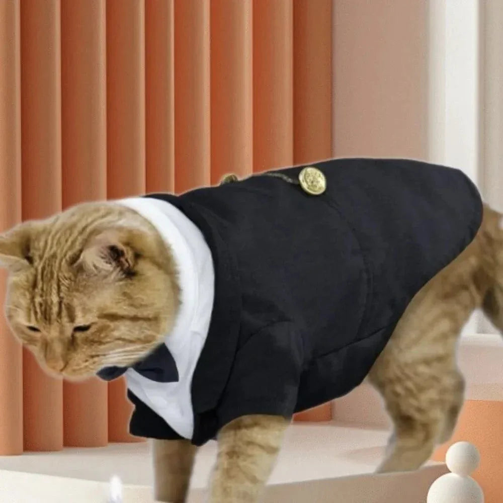 Formal Cat Tuxedo