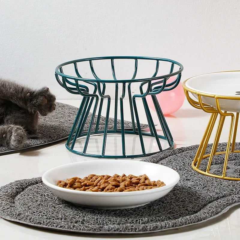 Raised Ceramic Pet Bowl - Waggy World