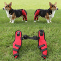 Small Breed Leg Brace