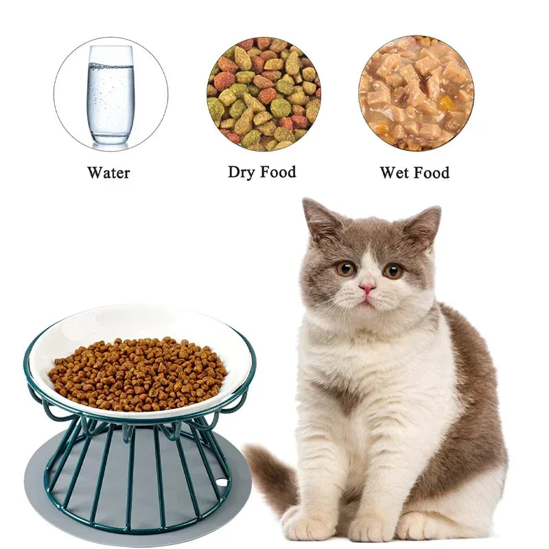 Raised Ceramic Pet Bowl - Waggy World