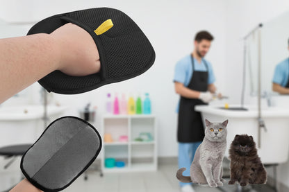 Pet Hair Removal Brush