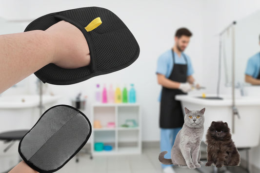 Pet Hair Removal Brush