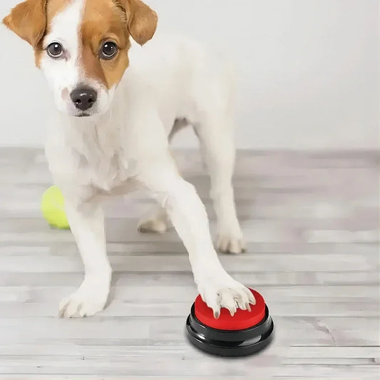 Pet Talking Button