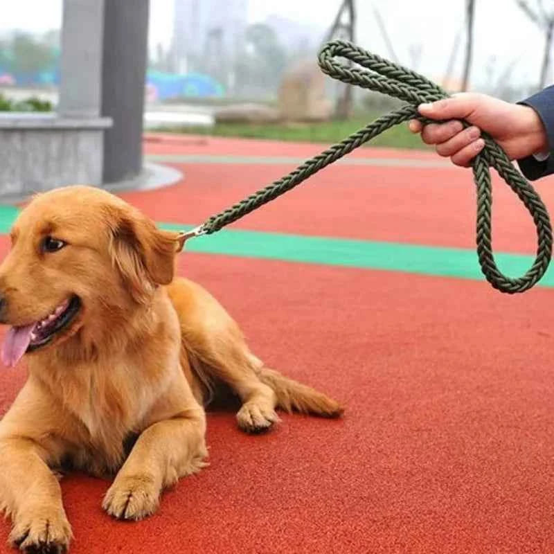 Large Breed Nylon Leash