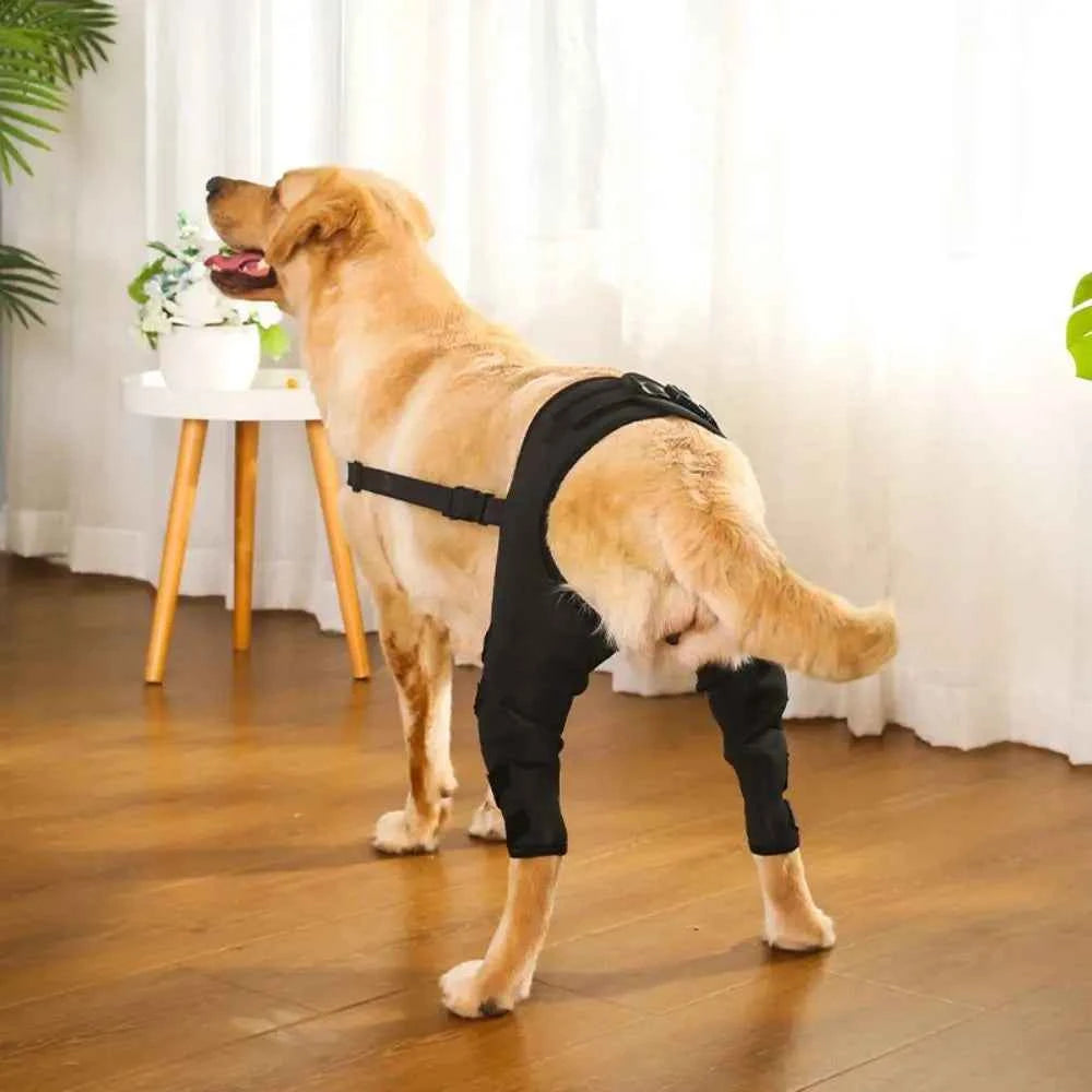 Dog Leg Support Brace