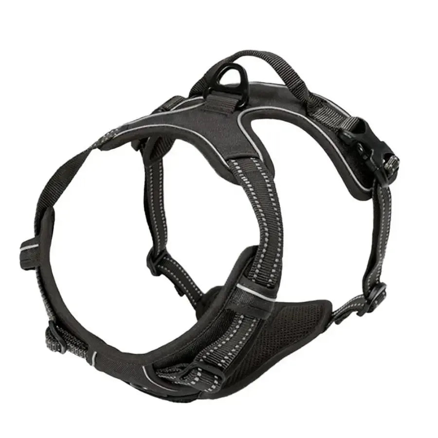 Dog Harness Collar & Leash Set Front View