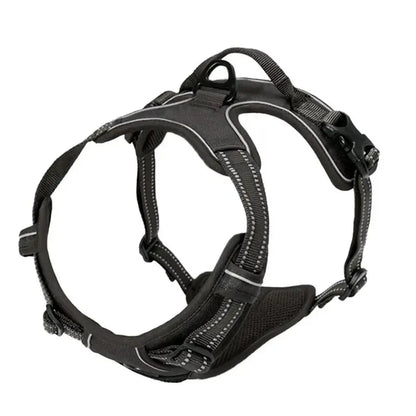 Dog Harness Collar & Leash Set Front View