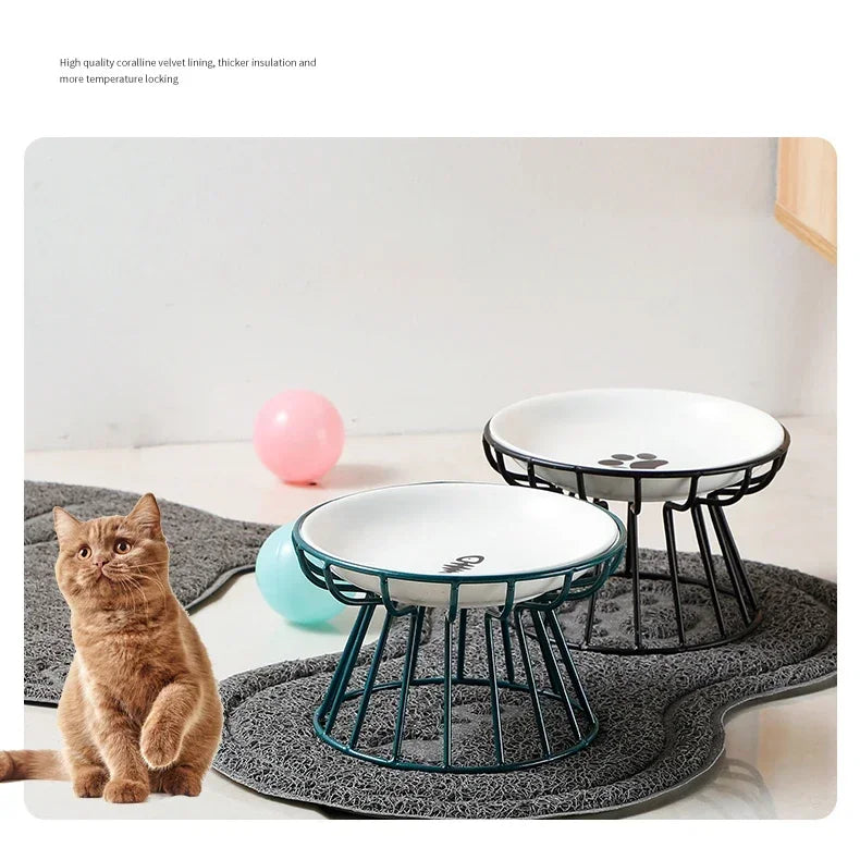 Raised Ceramic Pet Bowl - Waggy World
