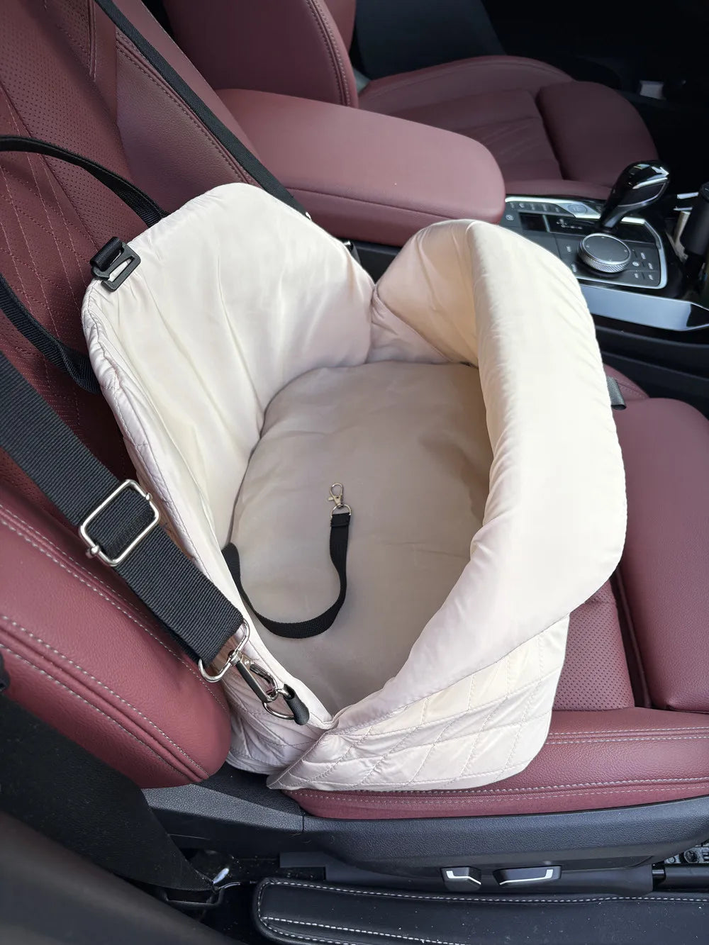 Pet Protection Travel Carrier