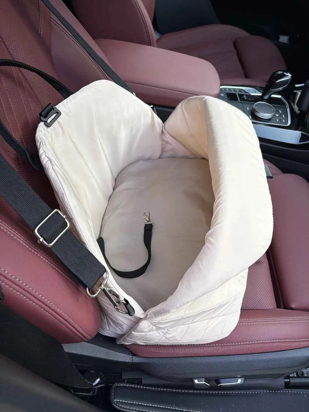 Pet Protection Travel Carrier
