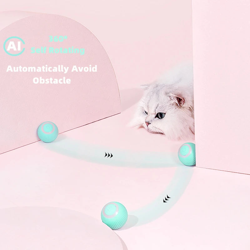 Electric Fetch Ball
