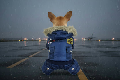 Air Force Inspired Four-Legged Pet Suit