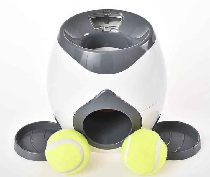 Automatic Pet Training And Feeding System