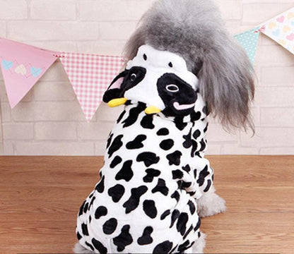 Pet Costume