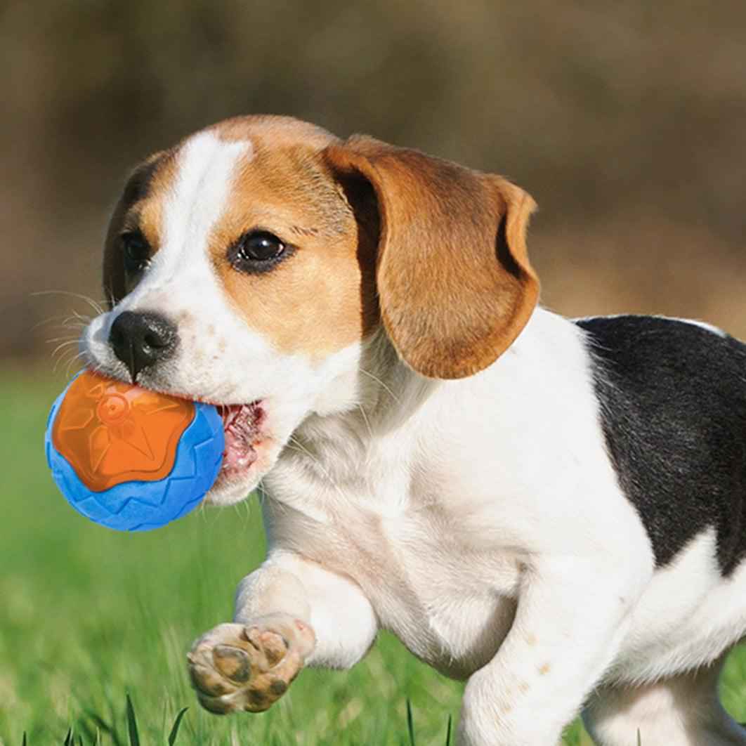 Glowing Toy ball
