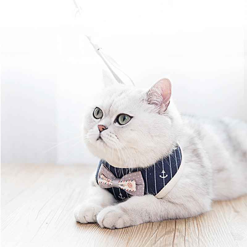 Breathable Pet Leash: Keep Your Furry Friend Cool and Comfortable