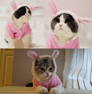 Adorable Bunny Ear Cat Hoodie for Your Furry Fashionista