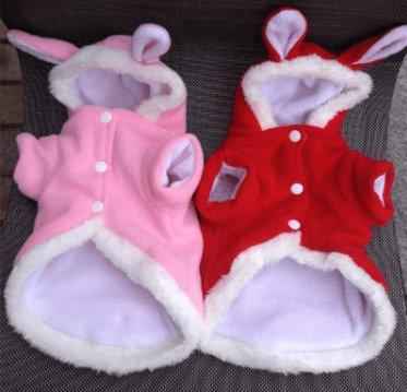 Adorable Bunny Ear Cat Hoodie for Your Furry Fashionista