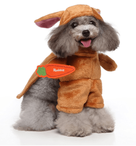 Funny Cosplay Pet Costume Set